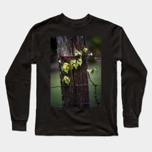 Fence Long Sleeve T-Shirt